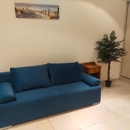 Apartament Przy Parku วิเซวกา ภายนอก รูปภาพ
